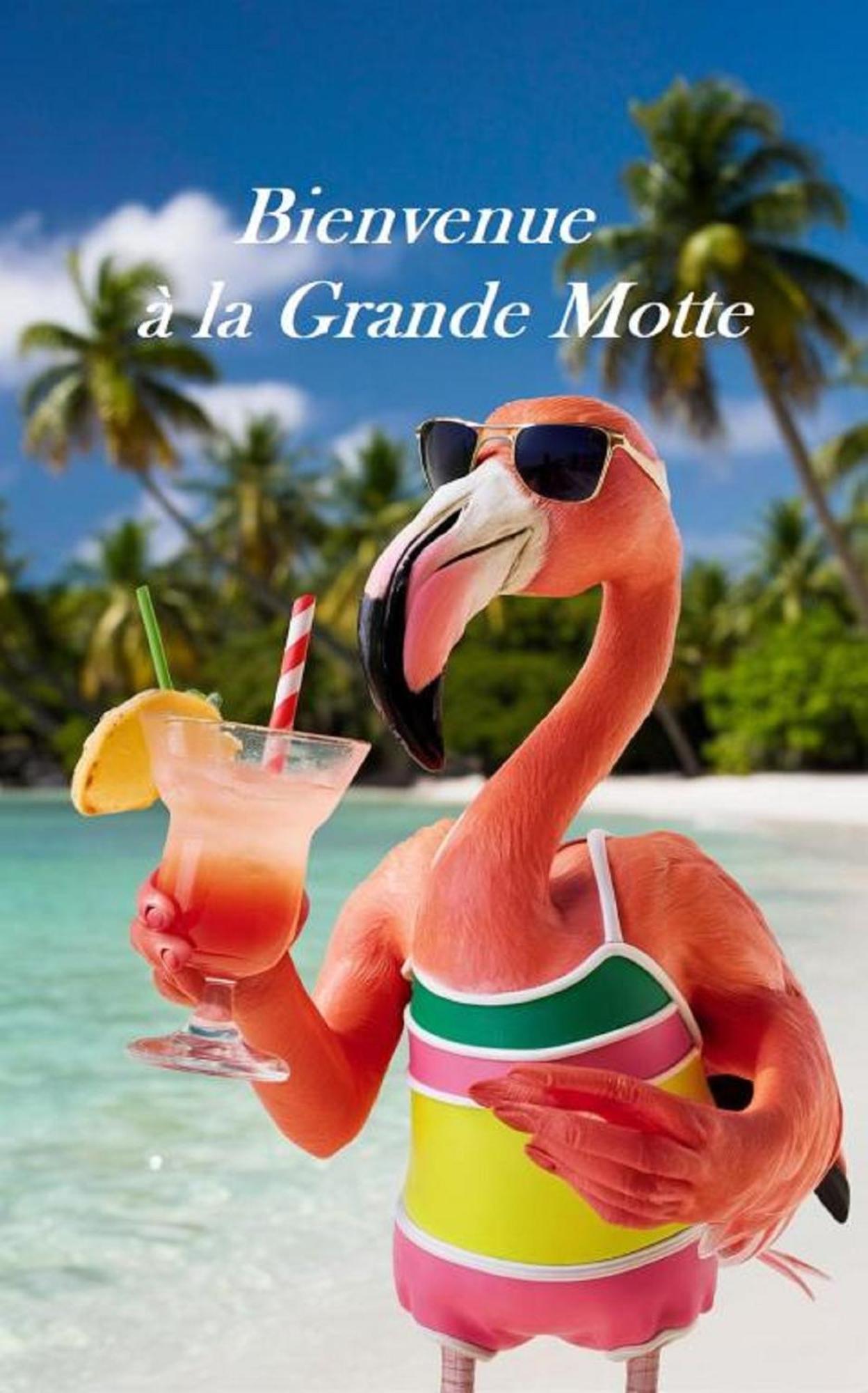 Mes Vacances A La Mer Studio 4 Pers, Parking Prive, Wifi, Linges Fournis, Climatisation La Grande-Motte Exterior foto